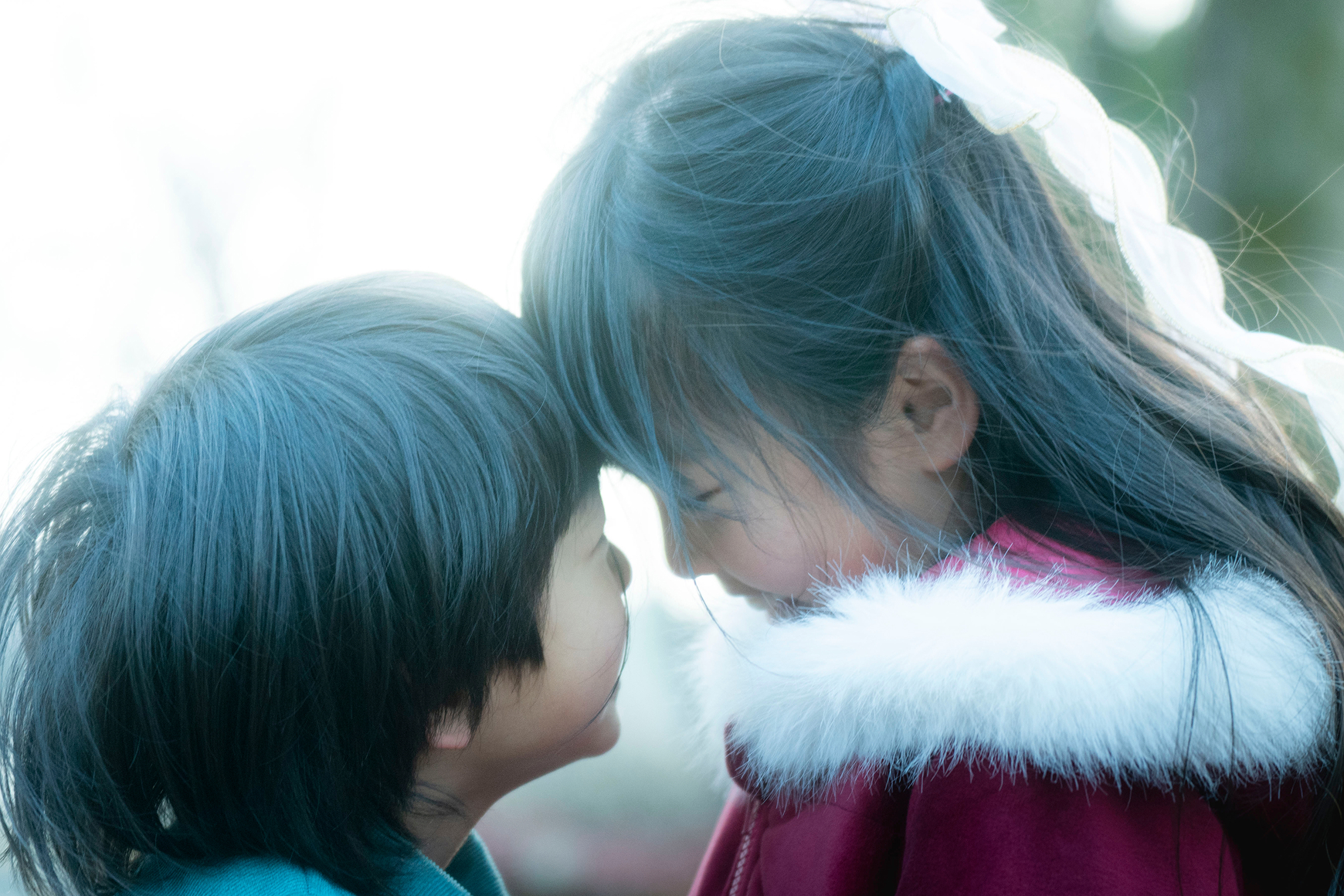 男の子と女の子の七五三写真
